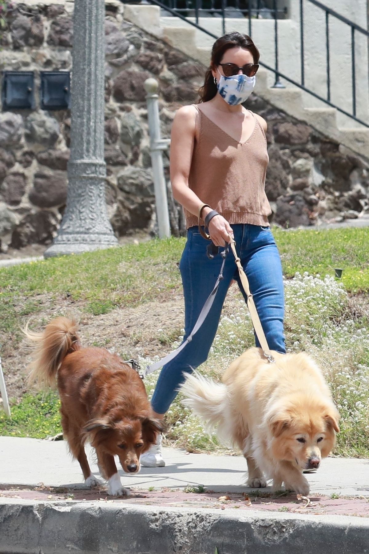 Aubrey Plaza Walks with Her Dogs Out in Los Feliz 2020/06/06