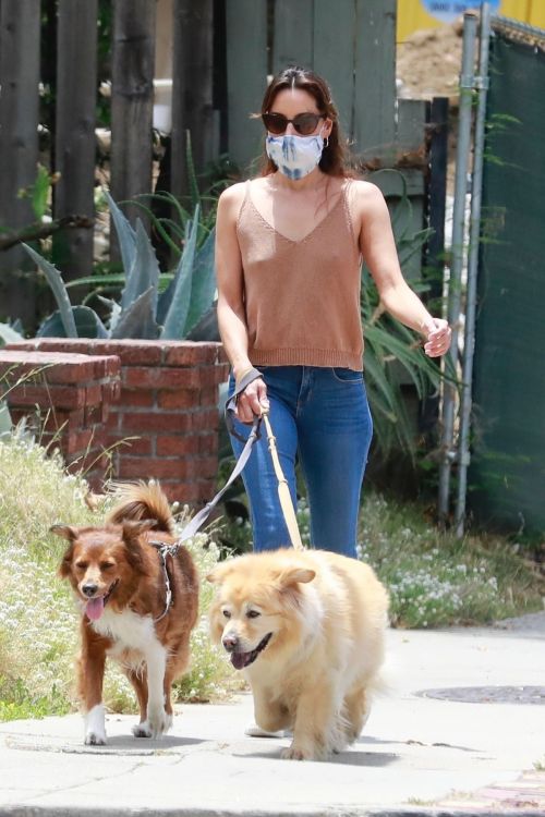 Aubrey Plaza Walks with Her Dogs Out in Los Feliz 2020/06/06