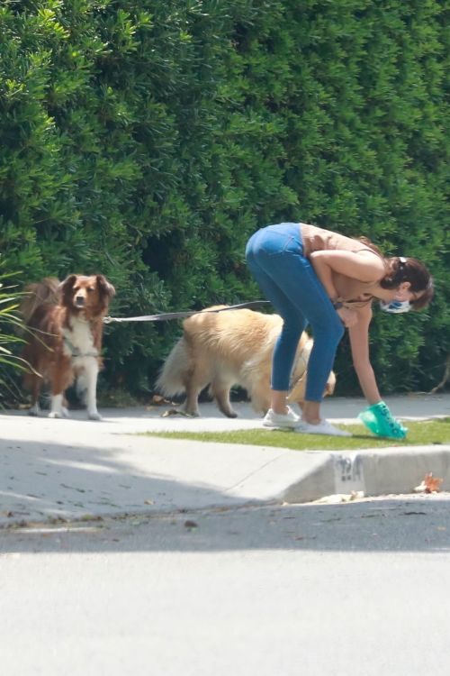 Aubrey Plaza Walks with Her Dogs Out in Los Feliz 2020/06/06 4