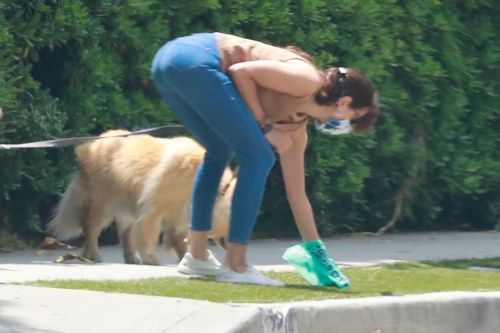Aubrey Plaza Walks with Her Dogs Out in Los Feliz 2020/06/06