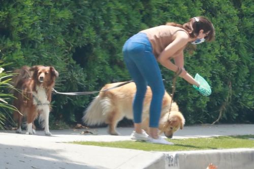 Aubrey Plaza Walks with Her Dogs Out in Los Feliz 2020/06/06 6