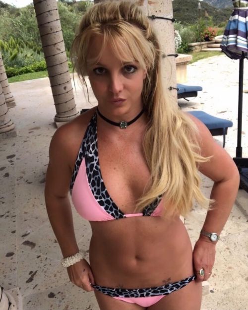 Britney Spears Shared Photos in Instagram 2020/06/15 7