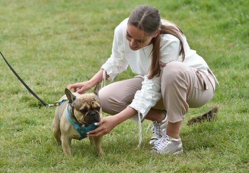 Chloe Ross Out with her Dog in Chigwell 2020/06/06 1