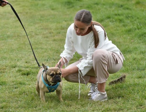 Chloe Ross Out with her Dog in Chigwell 2020/06/06 3