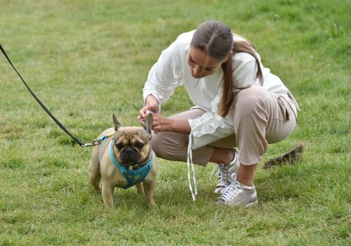 Chloe Ross Out with her Dog in Chigwell 2020/06/06 9
