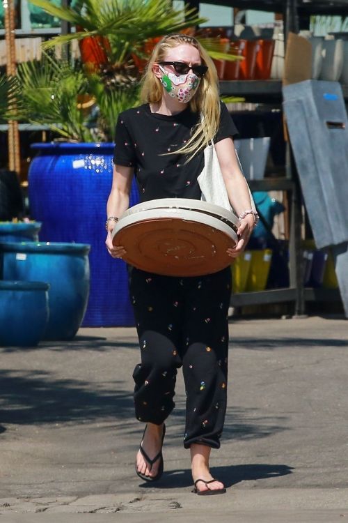 Dakota Fanning Shopping at a Plant Nursery in Los Angeles 2020/06/04 7