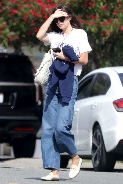 Dakota Johnson Out and About in Los Angeles 2020/06/19 2