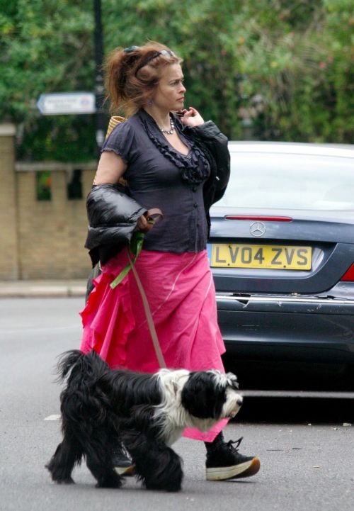 Helena Bonham Carter Out with Her Dog in London 2020/06/08