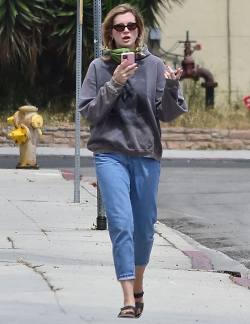 Ireland Baldwin Out and About in Los Angeles 2020/06/02 1
