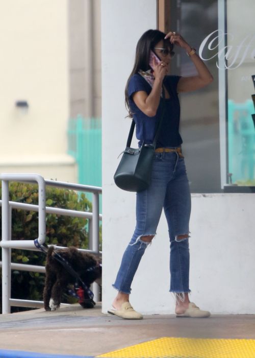 Jordana Brewster in Ripped Denim Out in Brentwood 2020/06/06 1