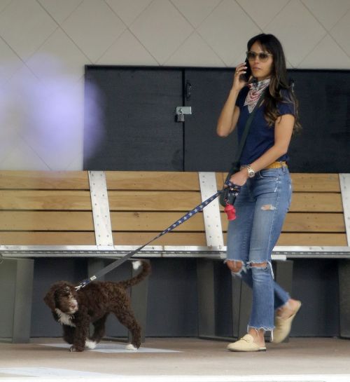 Jordana Brewster in Ripped Denim Out in Brentwood 2020/06/06 4