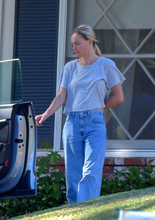 Kate Bosworth Out and About in Los Angeles 2020/06/10