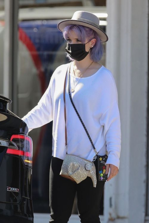Kelly Osbourne at Healthy Spot Pet Supply Store in Los Angeles 2020/06/10 10