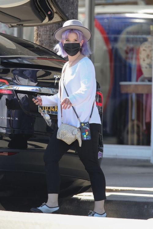 Kelly Osbourne at Healthy Spot Pet Supply Store in Los Angeles 2020/06/10