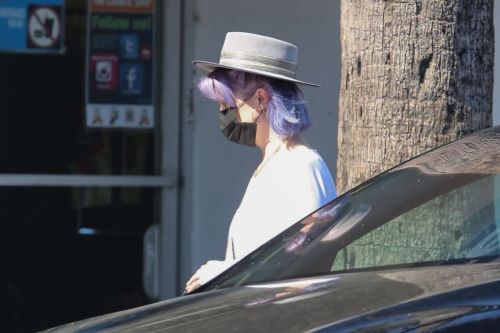 Kelly Osbourne at Healthy Spot Pet Supply Store in Los Angeles 2020/06/10 4