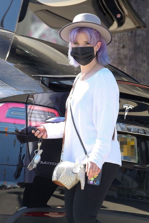 Kelly Osbourne at Healthy Spot Pet Supply Store in Los Angeles 2020/06/10 6