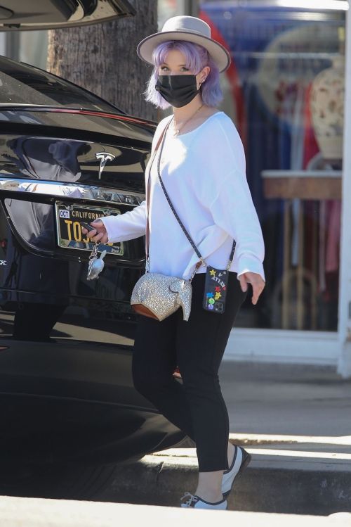 Kelly Osbourne at Healthy Spot Pet Supply Store in Los Angeles 2020/06/10 7