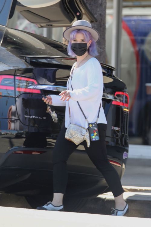 Kelly Osbourne at Healthy Spot Pet Supply Store in Los Angeles 2020/06/10 8