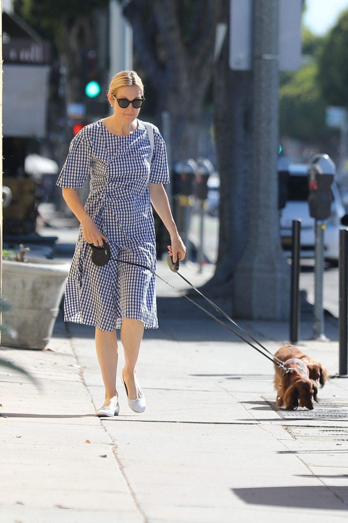 Kelly Rutherford Out with Her Dogs in Santa Monica 2020/06/10
