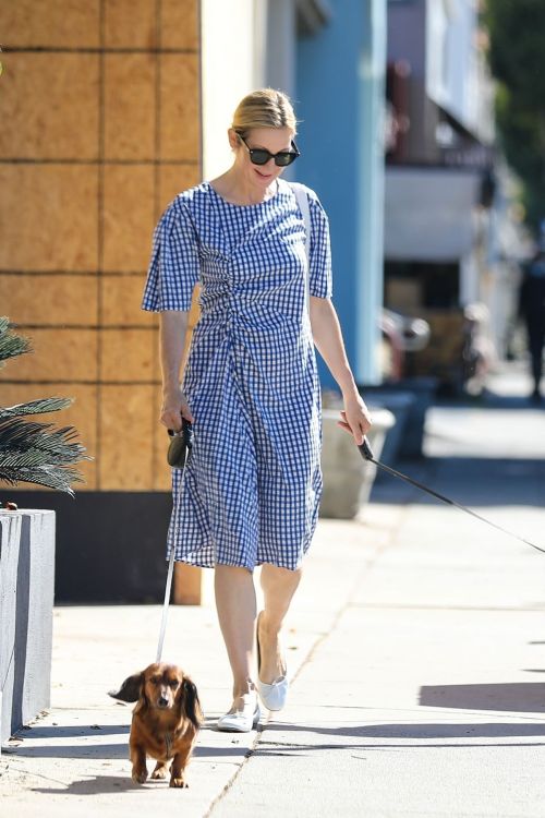 Kelly Rutherford Out with Her Dogs in Santa Monica 2020/06/10 10