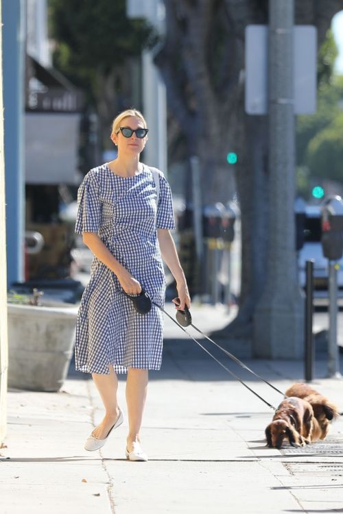 Kelly Rutherford Out with Her Dogs in Santa Monica 2020/06/10 4
