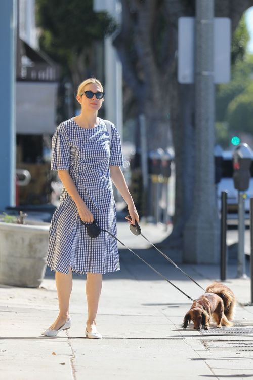 Kelly Rutherford Out with Her Dogs in Santa Monica 2020/06/10