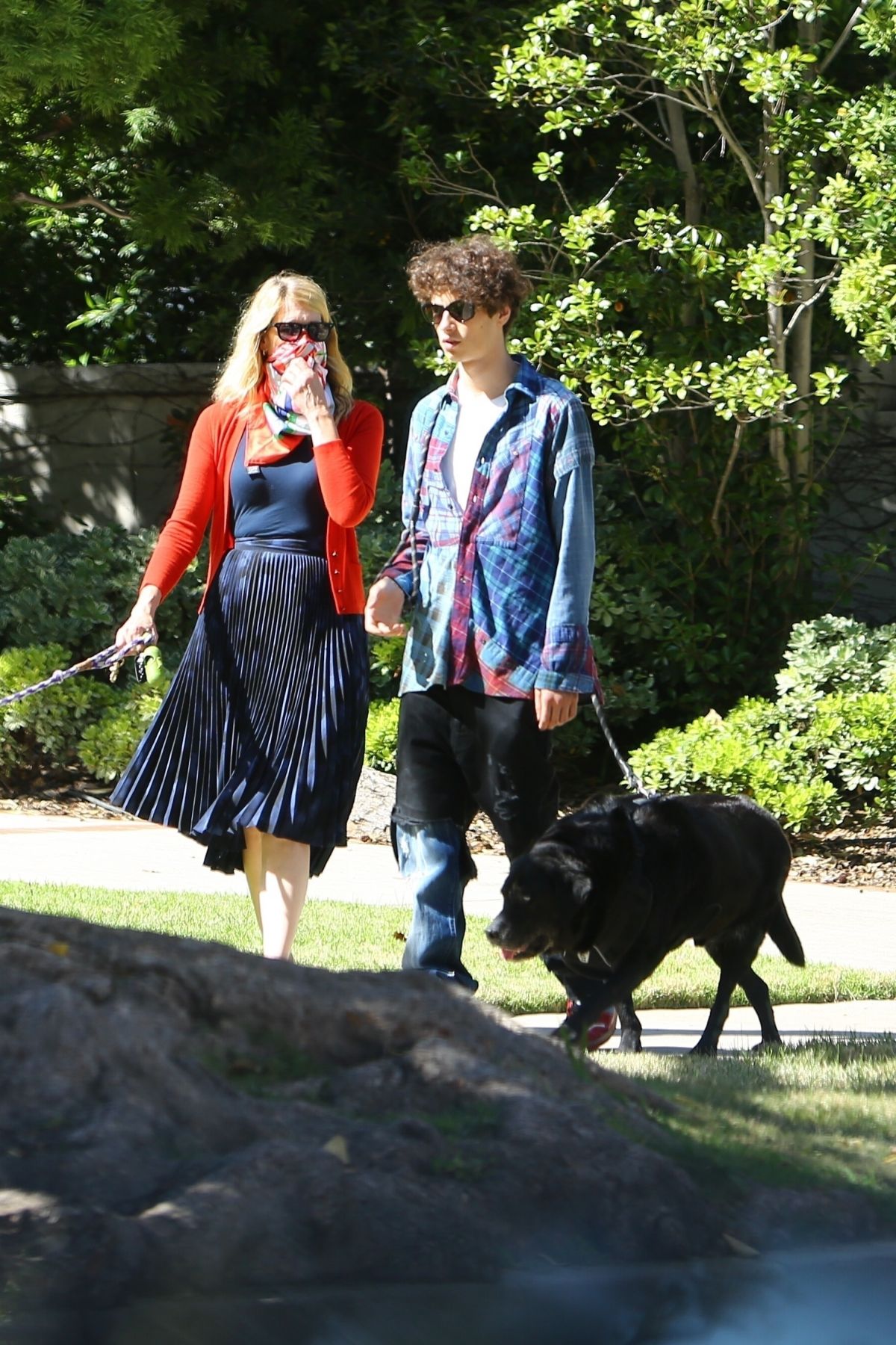 Laura Dern Out with Her Dogs in Santa Monica 2020/06/07