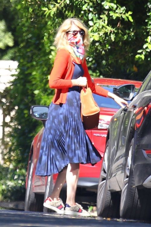 Laura Dern Out with Her Dogs in Santa Monica 2020/06/07 2
