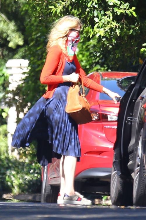 Laura Dern Out with Her Dogs in Santa Monica 2020/06/07 2