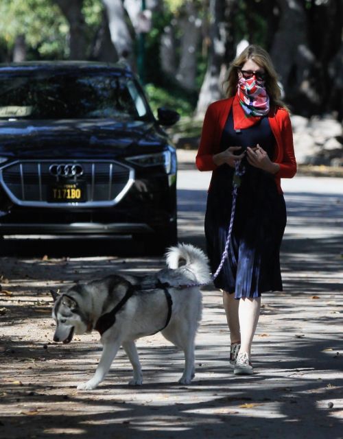 Laura Dern Out with Her Dogs in Santa Monica 2020/06/07 6