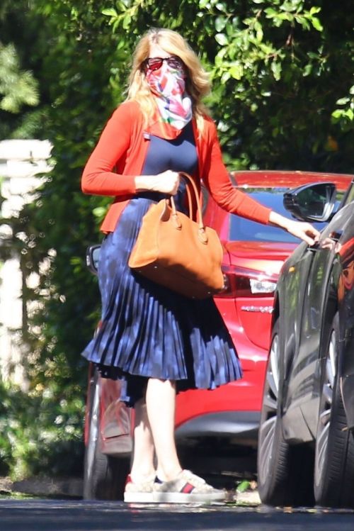 Laura Dern Out with Her Dogs in Santa Monica 2020/06/07 7