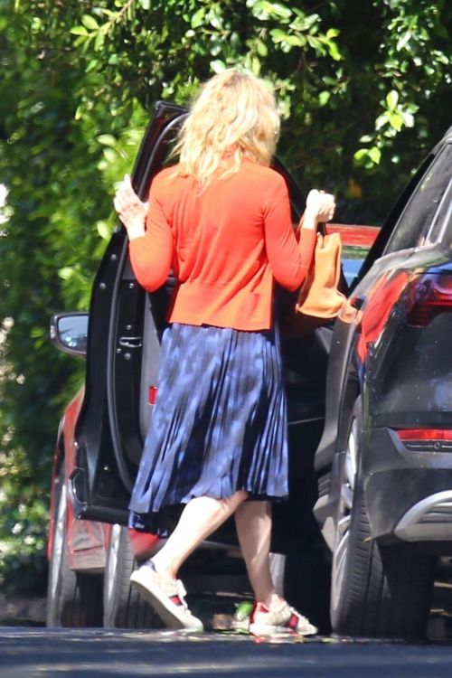 Laura Dern Out with Her Dogs in Santa Monica 2020/06/07 9