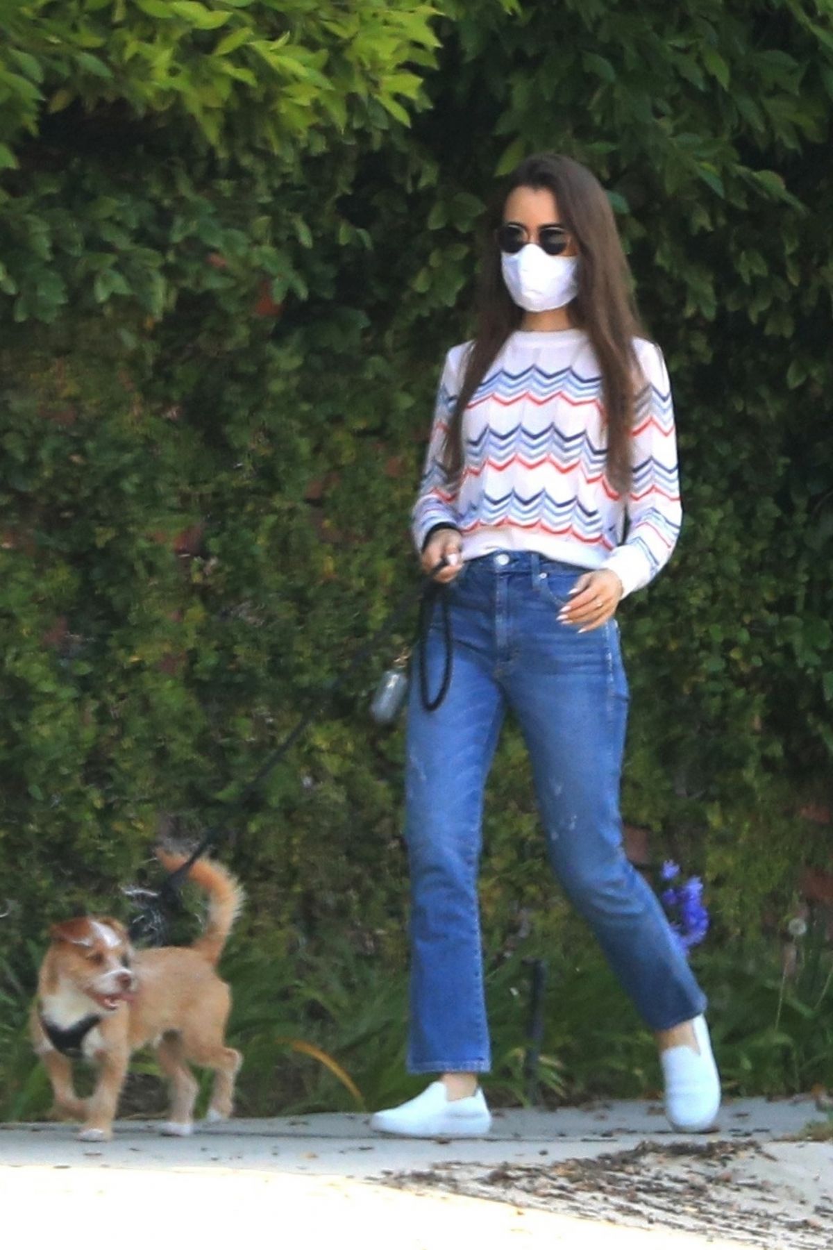 Lily Collins Out with Her Dog in Beverly Hills 2020/06/06