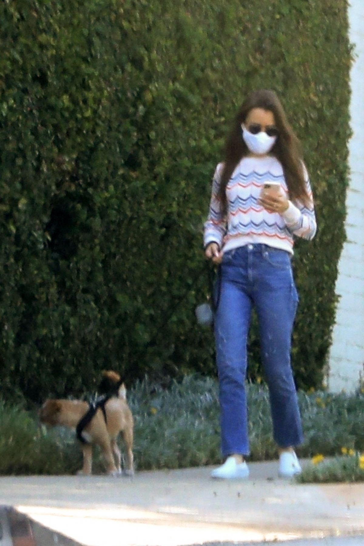 Lily Collins Out with Her Dog in Beverly Hills 2020/06/06