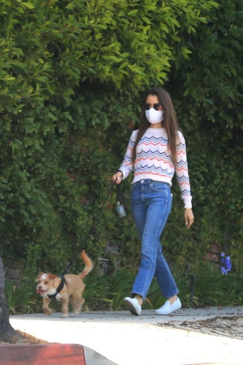 Lily Collins Out with Her Dog in Beverly Hills 2020/06/06 5