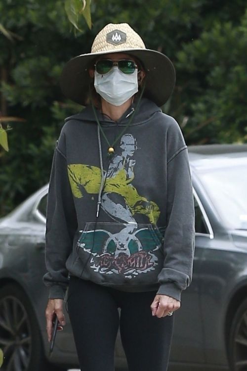 Lisa Rinna Out in Beverly Hills 2020/06/05 1