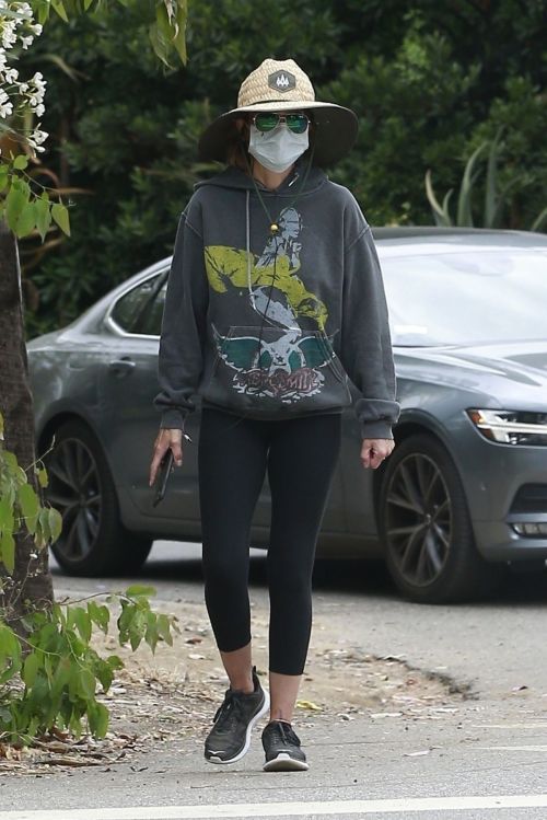 Lisa Rinna Out in Beverly Hills 2020/06/05 7
