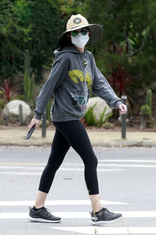 Lisa Rinna Out in Beverly Hills 2020/06/05 8