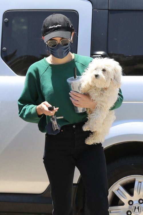 Lucy Hale and her Puppy Elvis at a Dog Park in Studio City 2020/06/04