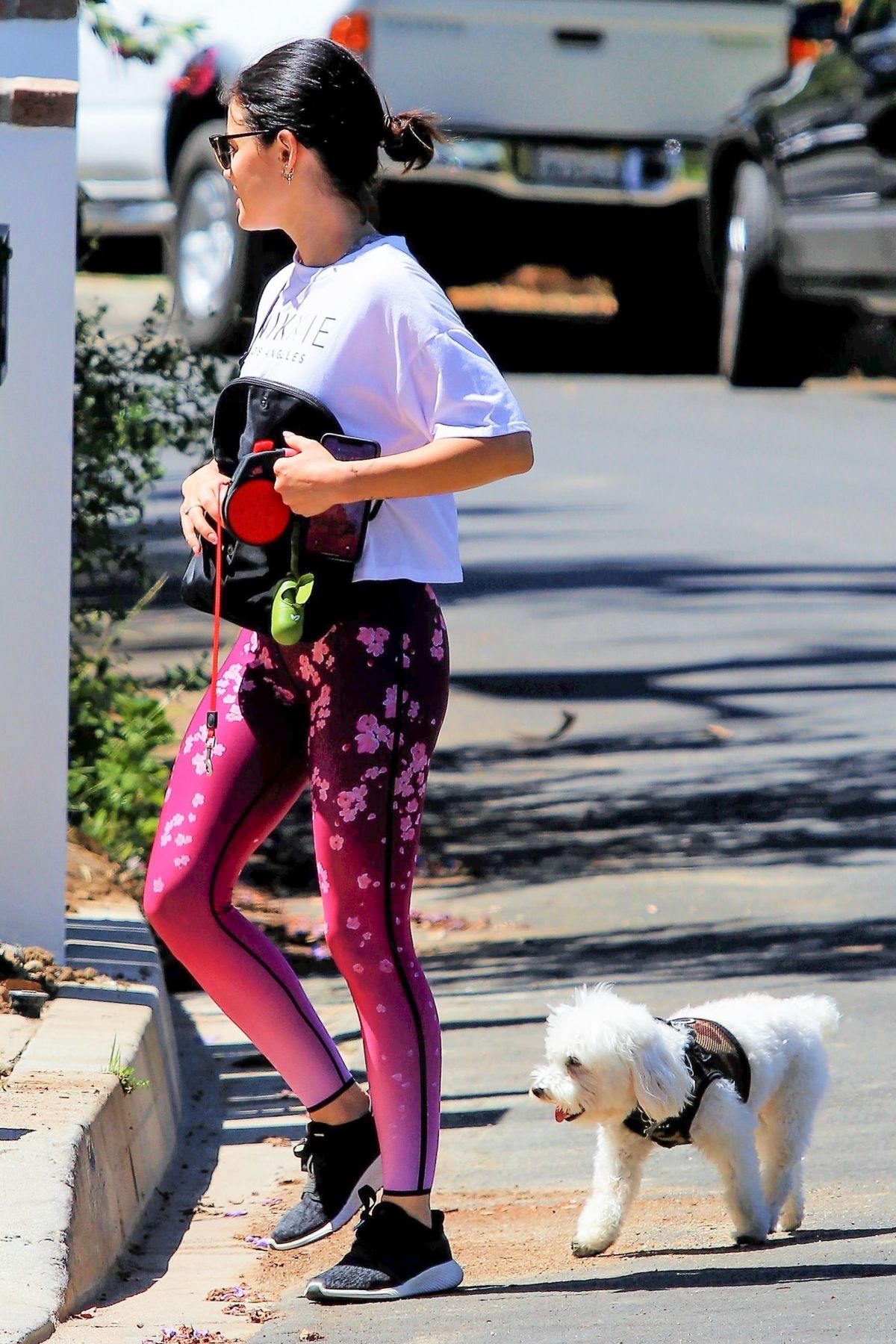 Lucy Hale Out with Elvis in Studio City 2020/06/07