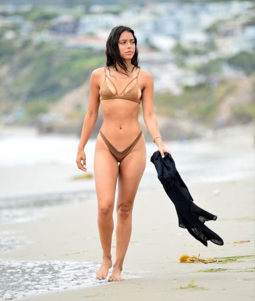 Michelle Hayden in Bikini on the Beach in Malibu 2020/06/21