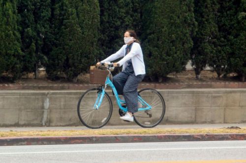 Molly Shannon Riding Bike Out in West Hollywood 2020/06/05 1
