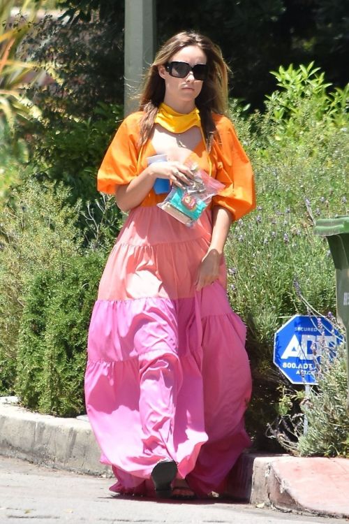 Olivia Wilde Out and About in Los Angeles 2020/05/31 10