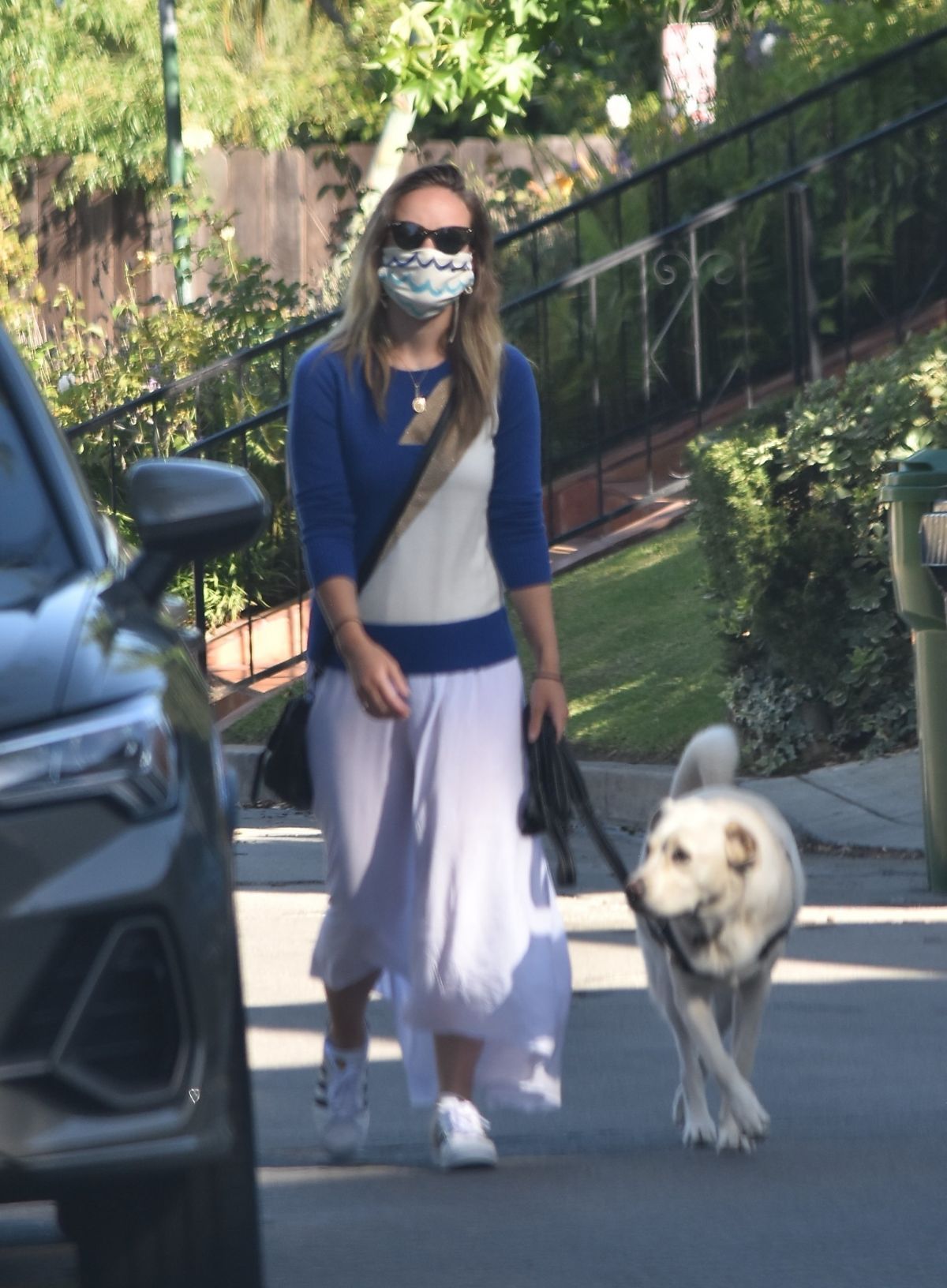 Olivia Wilde Out with Her Dog in Los Angeles 2020/06/07