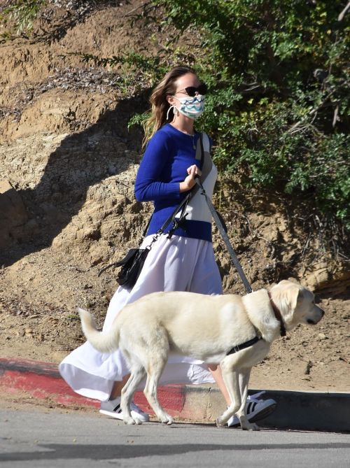 Olivia Wilde Out with Her Dog in Los Angeles 2020/06/07 12