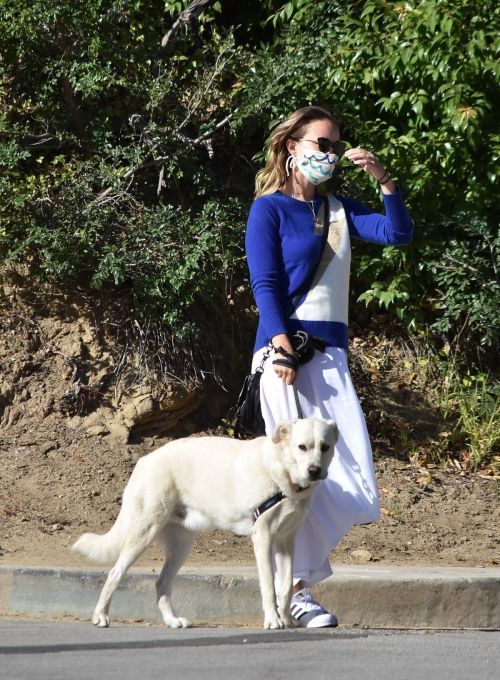 Olivia Wilde Out with Her Dog in Los Angeles 2020/06/07 3