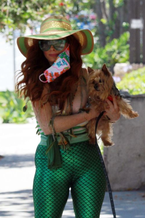 Phoebe Price in a Mermaid Outfit Out with Her Dog in Los Angeles 2020/06/12 11