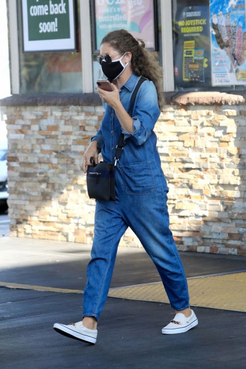 Rebecca Gayheart in Denim Overalls at Shake Shack in Los Angeles 2020/06/19 7