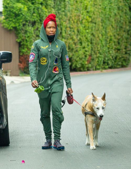 Regina King Out with Her Dog in Los Angeles 2020/06/05 4