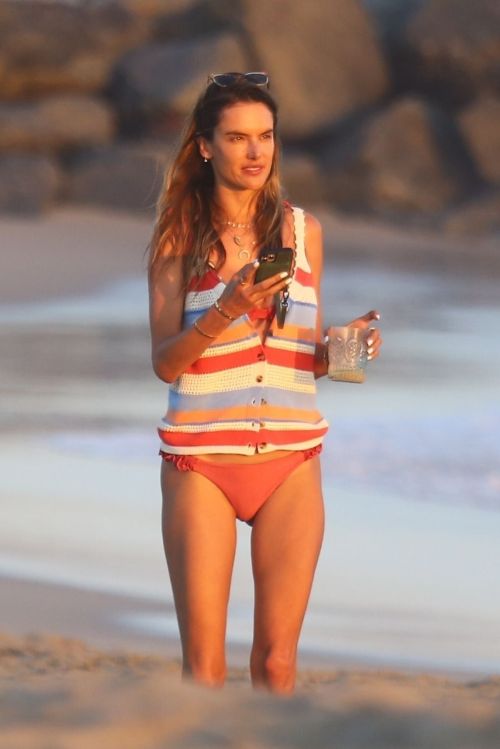 Alessandra Ambrosio in Bikini Bottoms at a Beach in Malibu 2020/09/23 7